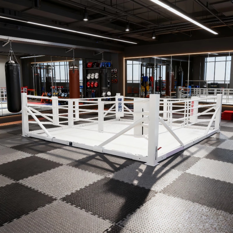 Set Ring da Boxe Pieghevole, A - Home Gym Equipment Set recensione e prezzo