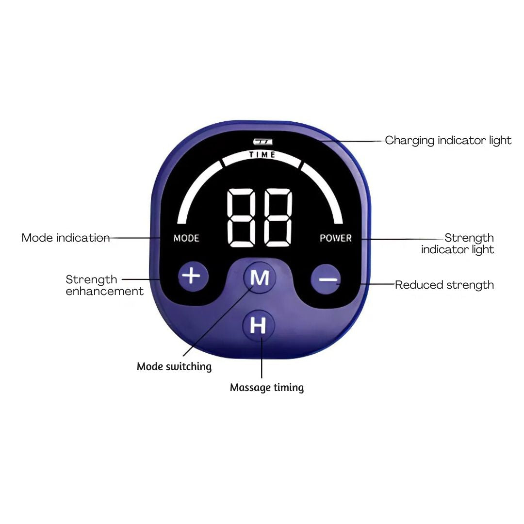 Guanti EMS per cavalli Stimola - Home Gym App recensione e prezzo