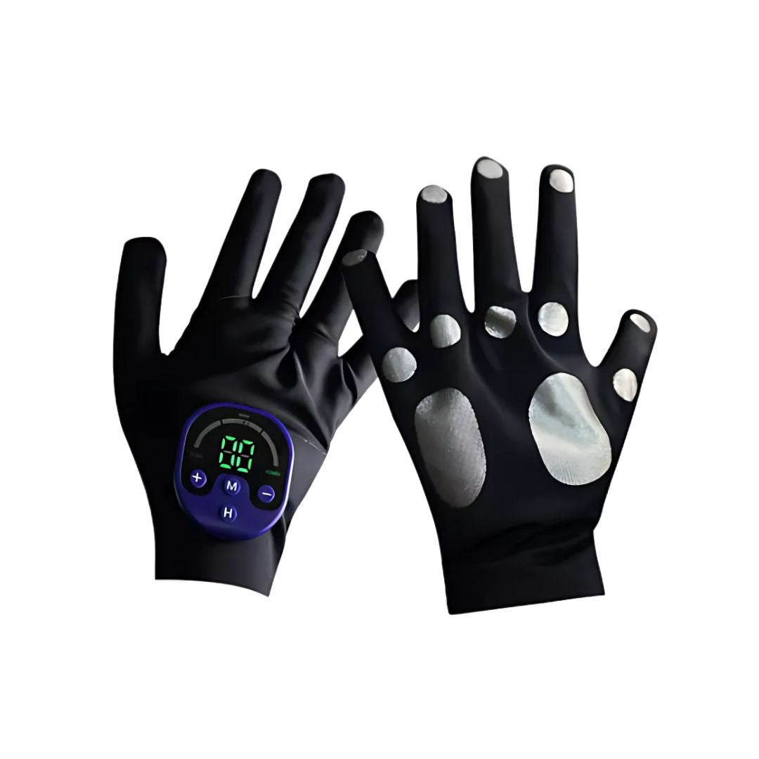 Guanti EMS per cavalli Stimola - Home Gym App recensione e prezzo