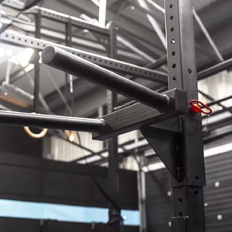 Stazione Dip Regolabile Power  - Dip Station Parallel recensione e prezzo